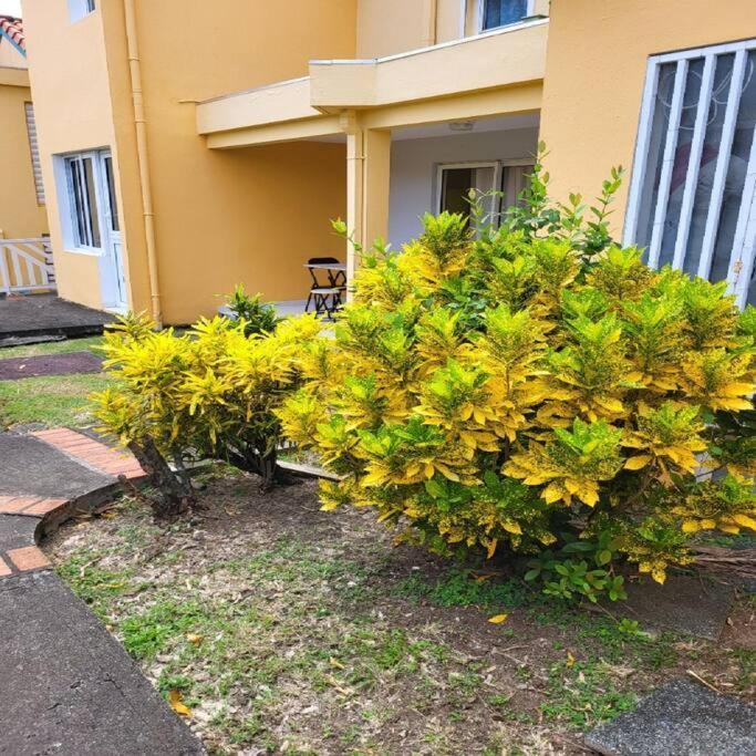 Appartement A Saint-Anne - Residence Beauregard Sainte-Anne Luaran gambar